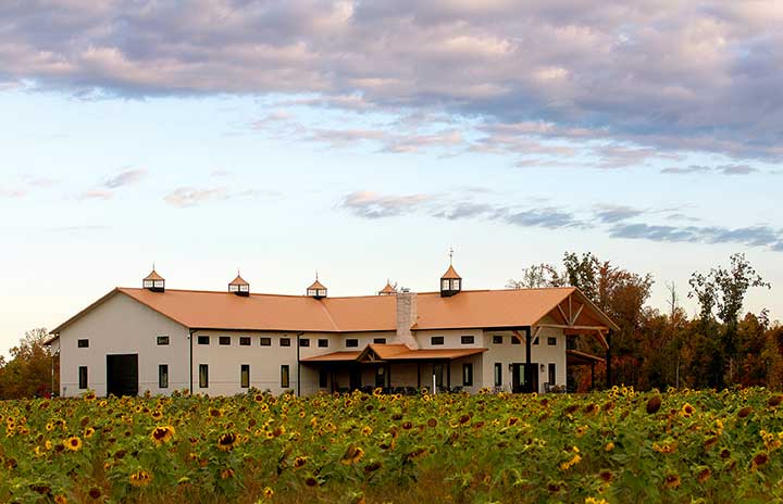 Wind Vineyards