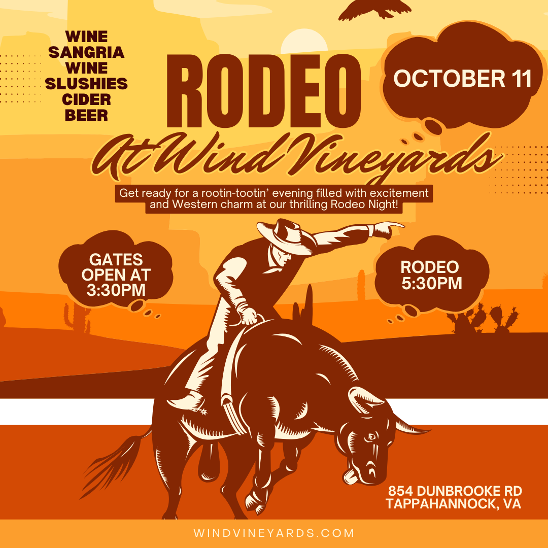 Orange And Brown Illustrated Rodeo Night Instagram Post