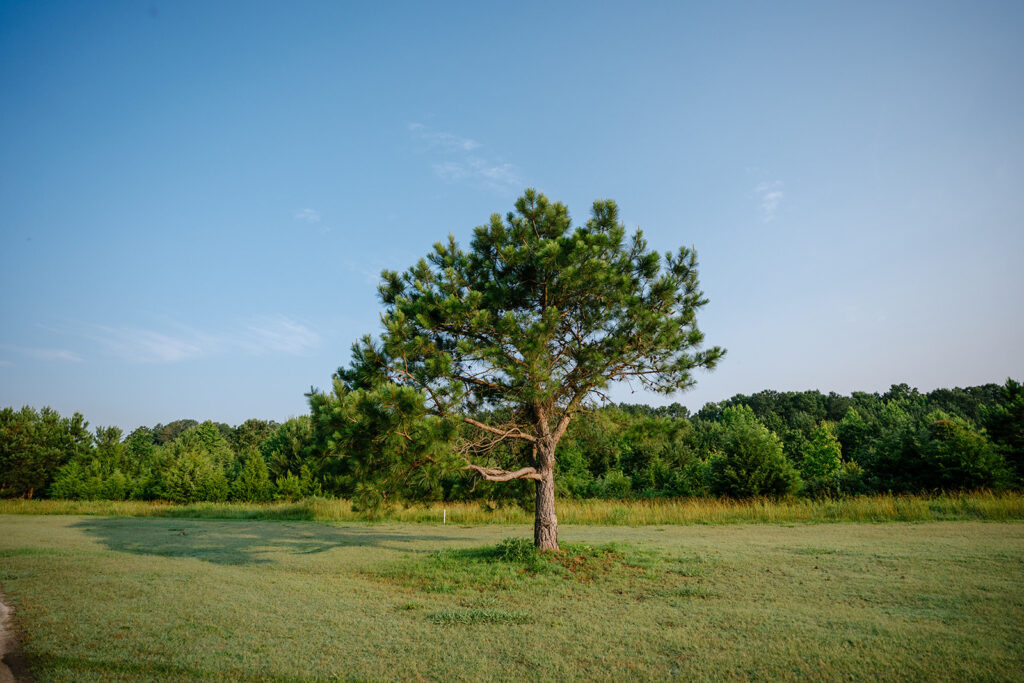 Tappahannock June CRA