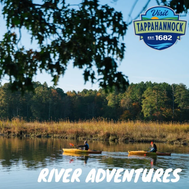 🚣‍♀️ 𝐑𝐢𝐯𝐞𝐫 𝐀𝐝𝐯𝐞𝐧𝐭𝐮𝐫𝐞𝐬 𝐀𝐰𝐚𝐢𝐭 𝐢𝐧 𝐓𝐚𝐩𝐩𝐚𝐡𝐚𝐧𝐧𝐨𝐜𝐤!🌊

Spring is here and it’s the perfect time to dive into 𝒓𝒊𝒗𝒆𝒓 𝒂𝒅𝒗𝒆𝒏𝒕𝒖𝒓𝒆𝒔 on the Rappahannock! The 𝑹𝒆𝒏𝒕.𝑭𝒖𝒏 Kayak Kiosk at 𝑫𝒖𝒌𝒆 𝑺𝒕𝒓𝒆𝒆𝒕 𝑩𝒆𝒂𝒄𝒉 makes it easy—just download the app, grab your kayak and gear, and paddle into the heart of Virginia’s River Realm. 🛶

Explore Hoskins Creek, float under the Downing Bridge, and discover the wild beauty of Tappahannock from the water.

📖 𝐂𝐡𝐞𝐜𝐤 𝐨𝐮𝐭 𝐭𝐡𝐢𝐬 𝐚𝐫𝐭𝐢𝐜𝐥𝐞 𝐟𝐨𝐫 𝐭𝐢𝐩𝐬, 𝐫𝐨𝐮𝐭𝐞𝐬, 𝐚𝐧𝐝 𝐬𝐚𝐟𝐞𝐭𝐲 𝐢𝐧𝐟𝐨:
👉 https://visittappahannock.com/kayak-rent-fun-kiosk-a-ticket-to-adventure/

#visittappahannock  #riveradventures  #rentfun  #exploretappahannock  #tappintonature