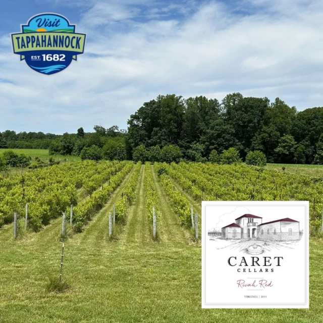 🍇🍷𝐅𝐢𝐫𝐬𝐭 𝐒𝐮𝐧𝐝𝐚𝐲 𝐌𝐚𝐫𝐤𝐞𝐭 𝐚𝐭 𝐂𝐚𝐫𝐞𝐭 𝐂𝐞𝐥𝐥𝐚𝐫𝐬 🍷🍇

@caretcellars invites you to their 𝐅𝐢𝐫𝐬𝐭 𝐒𝐮𝐧𝐝𝐚𝐲 𝐌𝐚𝐫𝐤𝐞𝐭 on June 1, 2025, from 12 PM to 3 PM — and it's the perfect reason to explore more of 𝐰𝐡𝐚𝐭 𝐓𝐚𝐩𝐩𝐚𝐡𝐚𝐧𝐧𝐨𝐜𝐤 𝐡𝐚𝐬 𝐭𝐨 𝐨𝐟𝐟𝐞𝐫!

Stroll through the vineyard, sip local wine, and shop artisan goods in a setting that’s as peaceful as it is picturesque. It’s an afternoon of local charm, handcrafted creativity, and the unmistakable spirit of Tappahannock.

🗓️ 𝐒𝐮𝐧𝐝𝐚𝐲, 𝐉𝐮𝐧𝐞 𝟏
🕛 𝟏𝟐–𝟑 𝐏𝐌
📍 𝐂𝐚𝐫𝐞𝐭 𝐂𝐞𝐥𝐥𝐚𝐫𝐬, 495 Meadow Landing Ln, Caret, VA

𝐌𝐚𝐤𝐞 𝐢𝐭 𝐚 𝐝𝐚𝐲 𝐭𝐫𝐢𝐩 — 𝐨𝐫 𝐚 𝐰𝐞𝐞𝐤𝐞𝐧𝐝! Discover more things to do, places to eat, and hidden gems at www.VisitTappahannock.com

#VisitTappahannock #CaretCellars #FirstSundayMarket #VirginiaWine #TappahannockEvents #SipAndShopVA #SupportLocalVA
