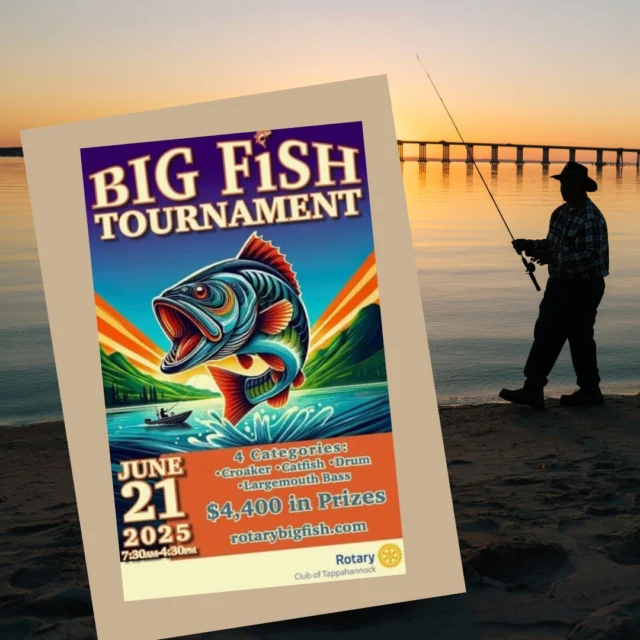 Pack your rods, rally your crew, and head to 𝐓𝐚𝐩𝐩𝐚𝐡𝐚𝐧𝐧𝐨𝐜𝐤 for the 𝟐𝟎𝟐𝟓 𝐑𝐚𝐩𝐩𝐚𝐡𝐚𝐧𝐧𝐨𝐜𝐤 𝐑𝐢𝐯𝐞𝐫 𝐁𝐢𝐠 𝐅𝐢𝐬𝐡 𝐓𝐨𝐮𝐫𝐧𝐚𝐦𝐞𝐧𝐭 – happening Saturday, June 21! 🏆🎉

Whether you're a seasoned angler or just in it for the thrill, this is your chance to fish the legendary 𝐑𝐚𝐩𝐩𝐚𝐡𝐚𝐧𝐧𝐨𝐜𝐤 𝐑𝐢𝐯𝐞𝐫 and compete for $𝟒,𝟒𝟎𝟎 𝐢𝐧 𝐩𝐫𝐢𝐳𝐞𝐬!🎯

🌍 𝐖𝐡𝐞𝐫𝐞? From Port Royal to the White Stone Bridges
🎣 𝐖𝐡𝐚𝐭’𝐬 𝐛𝐢𝐭𝐢𝐧𝐠? Largemouth Bass, Croaker, Red Drum & Catfish
💵𝐄𝐧𝐭𝐫𝐲 𝐅𝐞𝐞: $175 
📲 𝐒𝐢𝐠𝐧 𝐮𝐩 𝐧𝐨𝐰:  www.RotaryBigFish.com

🧢 𝐍𝐞𝐞𝐝 𝐠𝐞𝐚𝐫 𝐨𝐫 𝐛𝐚𝐢𝐭? Swing by Linger Lures, our newest local bait and tackle shop! They've got everything you need to land a winner – from live bait to must-have tackle. 🐠🪝

✨ After the weigh-in, stick around and 𝐞𝐱𝐩𝐥𝐨𝐫𝐞 𝐓𝐚𝐩𝐩𝐚𝐡𝐚𝐧𝐧𝐨𝐜𝐤:
🍤 Grab some riverside seafood
🛍️ Stroll through charming shops
🚶‍♀️ Walk historic streets
🍻 Sip something cold and celebrate your catch!

📅 Mark your calendars, tell your fishing buddies, and make a weekend of it at VisitTappahannock.com!

#visittappahannock  #bigfish2025  #rappahannockriver  #fishinglife  #virginiafishing  #fishforgood